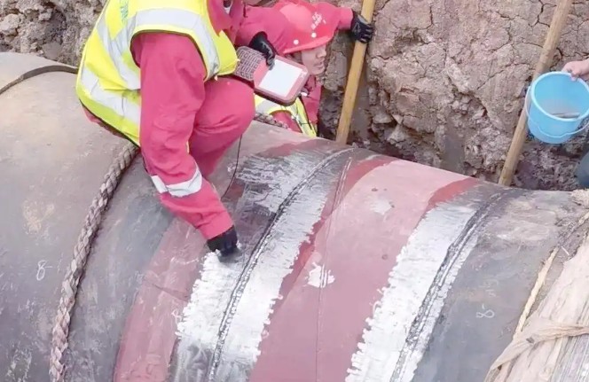 �������������⹫˾����רҵ���������������������̬